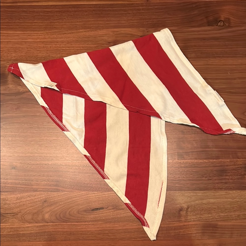 Burt's Bees Baby Dog Red and White Striped Bandana